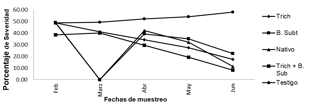 Porcentaje de Severidad de Sigatoka