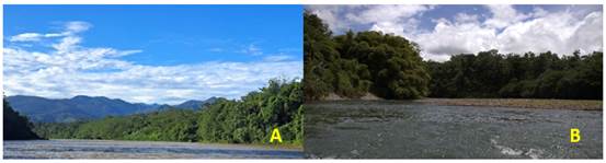 Localizaci&oacute;n
del &aacute;rea de estudio, Kankint&uacute; (A), r&iacute;o Sira&iacute;n (B), Bocas del Toro.