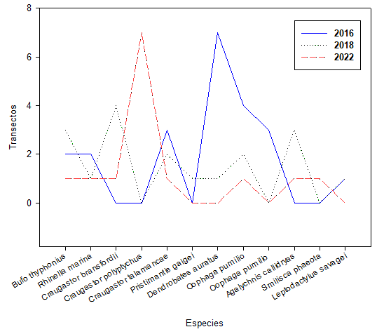 Comparaci&oacute;n
de la abundancia de anfibios en los tres transectos, en el R&iacute;o Sira&iacute;n, Kankint&uacute;, comarca Ng&auml;be
Bugl&eacute;.