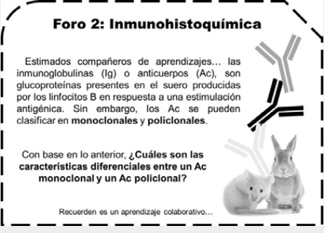 Ejemplo de un caso problema en el foro para aclarar dudas
sobre la Unidad II: Inmunohistoquímica de coloraciones