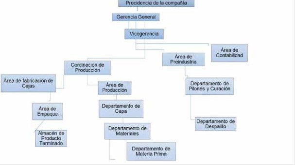 Organigrama Perdomo Cigars, S. A.