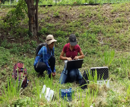 Mediciones de campo de registros de datos sísmicos en el área de la UNAN-Managua