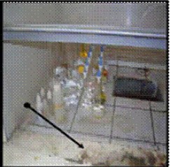 Campana extractora de gases. En al Estado