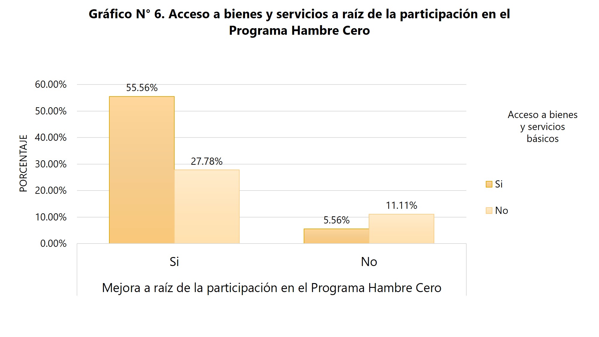 Acceso a bienes y servicios a raiz de la participacion en el programa hambre cero