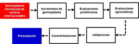 Modelos Sistémico o Mixto y Lineal de procesos de mejoramiento genético de cultivos.