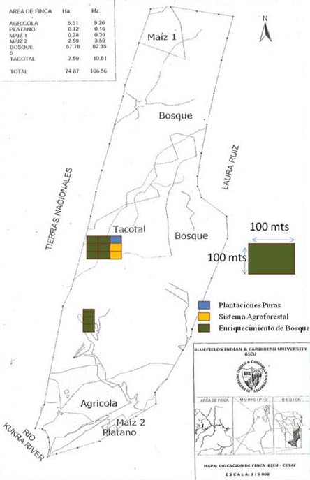 Mapa de la ubicación geográfica de la zona de estudio (izquierda arriba). Casa albergue (izquierda abajo). Levantamiento topográfico del CeTAF (derecha), en él se pueden observar los sistemas establecidos, Plantaciones puras (azul), sistemas agroforestales (amarillo) y enriquecimiento de bosque (verde).