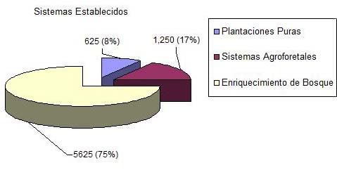 Número de  plantas sembrados en los sistemas establecidos