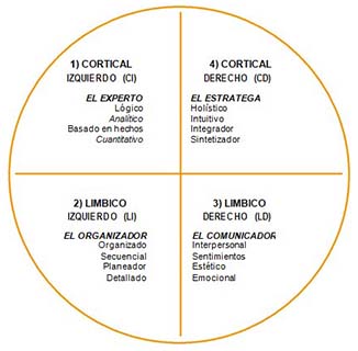 Distintas formas de operar, pensar, crear, aprender y convivir con el mundo