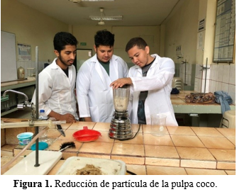 Reducción
de partícula de la pulpa coco.