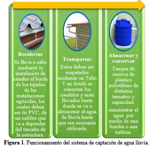 Funcionamiento del sistema de captación de
agua lluvia.