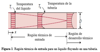 Región térmica de entrada para un líquido fluyendo en una tubería.