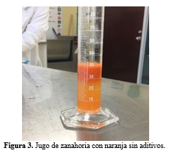 Jugo de zanahoria con naranja sin aditivos.