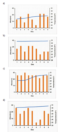 Crecimiento de la planta de frijol Phaseolus vulgaris usadas como planta control en concentraciones (a) 18.3mg/L, (b) 36.7 mg/L, (c) 55 mg/L 

(d) 76.3 mg/L, con respecto a la temperatura diaria.