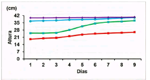 Crecimiento de las plantas de frijol P. Vulgaris usadas como control por cada integrante.