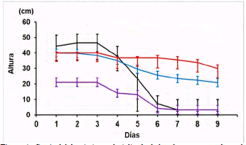 Cotejo del decaimiento al triplicado de las plantas
provocado por la exposición a
distintas dosis, (█ 36.7 mg/ml), (█ 73.3 mg/ml),
(█ 18.3 mg/ml), ( 55 mg/ml).