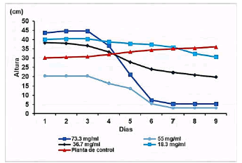 Comparación
del promedio de las plantas de control
con el promedio de las dosificadas con AASC.