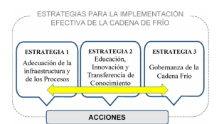 Estrategias para la implementación efectiva de 

la cadena de frío.