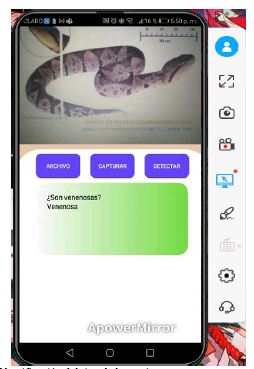 Identificación del tipo de la serpiente.