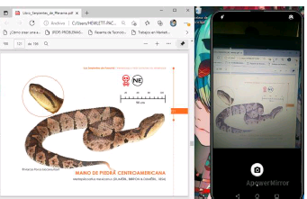 Captura de la serpiente con la cámara.