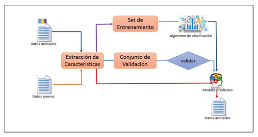 Proceso de aprendizaje automático.  