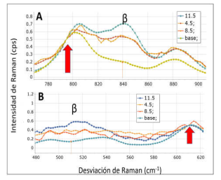  Espectro Raman de la región del cambio de la estructura rotacional del PVDF. Parte A: normalizado en la región 880 cm-1; parte B: normalizado en el pico 600 cm-1.