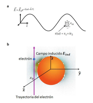 (a) Distribución de carga dipolar en una
esfera metálica bajo la excitación de una onda
plana [10]. (b) Campo eléctrico inducido en una esfera metálica al ser expuesta a un electrón que pasa cerca de la superficie. Adaptado de [18]. 

 