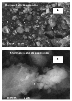 Fotografía SEM, muestra Sherman.
