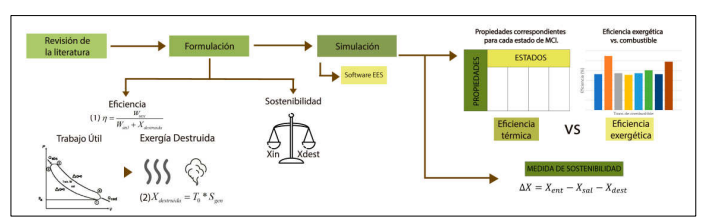 Representación esquemática de la metodología utilizada para el
estudio.