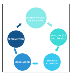 Etapas del Sistema de Gestión de la Seguridad.