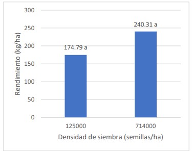  Rendimiento promedio de frijol (kg/ha), según la
densidad de siembra. Medias que comparten una misma letra no son
significativamente diferentes, según la prueba de LSD Fisher (p≤0.05).