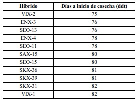  Edad al inicio de cosecha para híbridos de pimiento