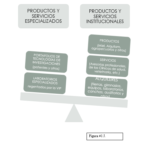 Diferenciaci&oacute;n
     de los Productos y Servicios Especializados vs los Productos y Servicios
     Institucionales