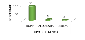 Tenencia de la vivienda de la
familia de los adultos mayores encamados de la Policlínica Roberto Ramírez de
Diego. Chitré, 2018.