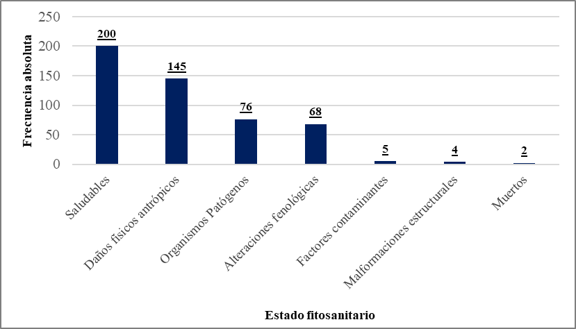 Figura 2.