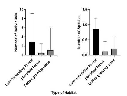 Number of individuals and species for Chrysomelidae
communities in different  

habitat types (Mean
± standard deviation)