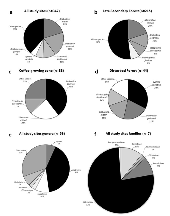 Community structure of Chrysomelidae taken in Malaise
traps at Trogon trail, shown as percentages of individuals. a. All study sites; b. Late secondary forest; c. Coffee-growing zone; d. Disturbed
forest; e. all genera treated; f. all families treated. Subfamilies such as Bruchinae that present less than 1% not shown.