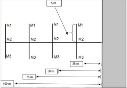 Esquema
representativo del muestreo en cada punto