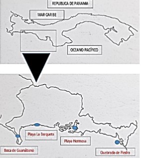 Mapa de la localización de los cuatro
puntos de muestreo a lo largo de El Golfo de Chiriquí, Panamá