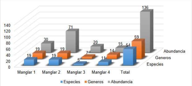 Abundancia relativa de géneros y
especies de hifomicetos por sitio de muestreo. Eje X
sitios de muestreos, eje Y número de individuos. El manglar 1 corresponde a
Quebrada de Piedra (Remedios); manglar 2 corresponde a Playa Hermosa (Horconcitos, San Lorenzo); el manglar 3 corresponde a Playa
La Barqueta (Guarumal, Alanje); manglar 4 Playa Boca
de Guanábano (Puerto Armuelles, Barú).