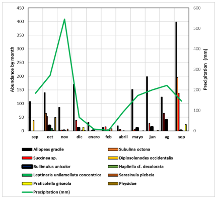 Monthly abundance of individuals
per species and effect of rainfall during the year of study