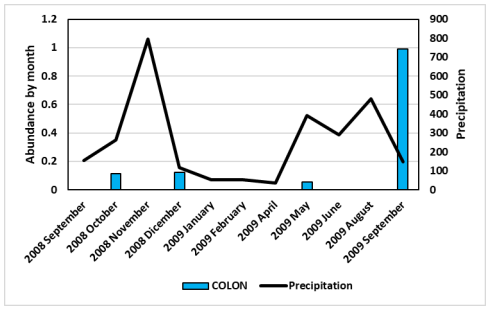 Effect of rainfall in the abundance of slugs and land snails by month in Colon City during the year