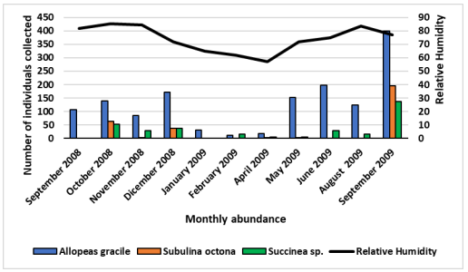 Number of individuals collected by month and the
effect of relative humidity during the year of study