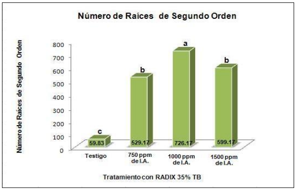 Raíces de segundo orden enraizadas
por efecto de la aplicación de RADIX 35% TB, en Tithonia diversifolia