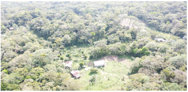 Desorden en la actividad de deforestaci&oacute;n