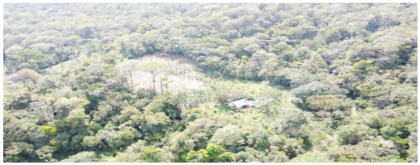 Vivienda en el
centro del bosque y deforestaci&oacute;n alrededor de esta