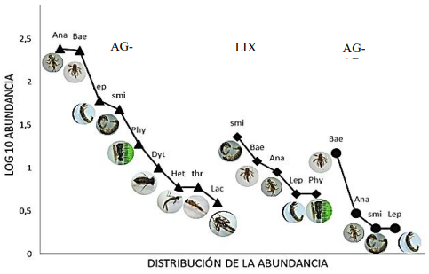 Curva de
distribución rango-abundancia en las diferentes estaciones de la quebrada La Cucalina