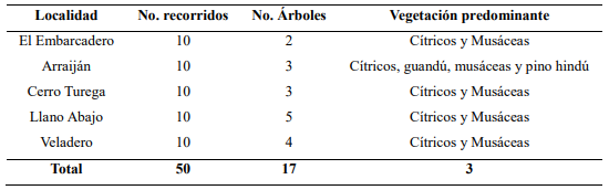 N&uacute;mero de &aacute;rboles de guan&aacute;bana de traspatio muestreados por localidad de estudio