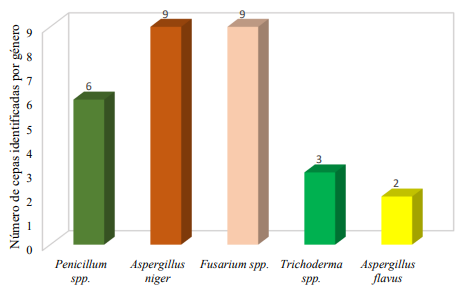 Hongos endófitos con antagonismo positivo: Trichoderma, A. flavus, A. niger, Penicillium, Fusarium