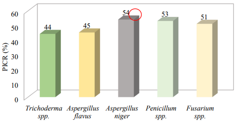 Porcentaje de inhibición de
crecimiento radial de las cepas fúngicas con actividad antagónica positiva frente Pyricularia oryzae. Trichoderma , Aspergillus flavus, A. niger, Penicillium, Fusarium