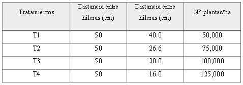 Tratamientos estudiados en ensayo para conocer el comportamiento del kion var. ‘Criollo’
con diferentes densidades de siembra en Zotarari, Pichanaki, Perú